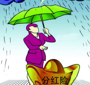 分红险十年