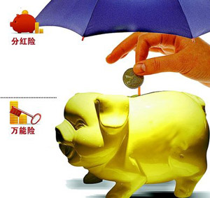 分红险十年